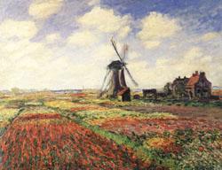 Claude Monet Tulip Fields in Holland China oil painting art